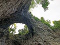 Little Natural Bridge in the valley of the river Rak or Mali naravni most, Cerknica - Notranjska Regional Park, Slovenia Royalty Free Stock Photo