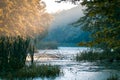 Little natural lake in forest, foggy morning beautiful sunrise, summer, sun rays on big trees, still water surface, nature Royalty Free Stock Photo