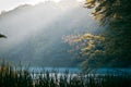 Lake in forest, foggy morning beautiful sunrise, summer, yellow sun rays on tree leaves, still water surface, nature panorama Royalty Free Stock Photo