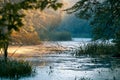 Little natural lake in forest, foggy morning sunrise, summer, yellow sun rays on tree leaves, still water surface, background Royalty Free Stock Photo