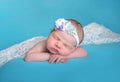 Little newborn babies, family, kids, children photoshoots, baby photorgapher, baby sleep Royalty Free Stock Photo