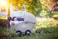 Little newborn baby boy, sleeping in old retro stroller in fores Royalty Free Stock Photo