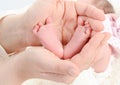 Little feet of newborn baby in the hands of his mother. Royalty Free Stock Photo
