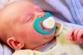 Little newborn baby girl 24 days sleeps Royalty Free Stock Photo