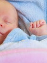 Little newborn baby sleeping calmly in blanket Royalty Free Stock Photo