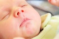 Little newborn baby sleeping calmly in blanket Royalty Free Stock Photo