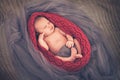 Little newborn baby sleeping muffled Royalty Free Stock Photo