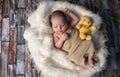 Little newborn baby warped  in a knitted rug Royalty Free Stock Photo