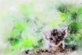 Little newborn blue eyes kitten watercolor painting digital art style, illustration painting