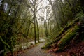 Little Niagera Falls GoldStream Provincial Park Royalty Free Stock Photo