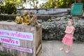 Little nice girl standing near monkey golden statuettes and macaco at zoo in Thailand.
