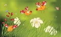 Ladybirds and flower glade cartoon Royalty Free Stock Photo