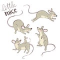 Little nice mice. Set of cute characters.