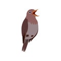 Little Nightingale Bird, Cute Birdie Home Pet Vector Illustration Royalty Free Stock Photo