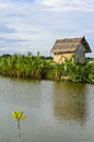 Little Nupa Palm leaves hut