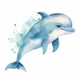 Cute Blue Watercolor Dolphin Art Illustration On White Background