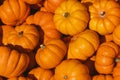 Little october pumpkins on a farmer market