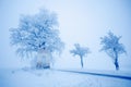 Little old chapel and old tree with rime and snow, foggy Christmas day near the road during winter. Blue winter morning with snow. Royalty Free Stock Photo