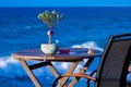 Little olive tree on the table against the sea Royalty Free Stock Photo