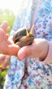 The snail is sitting on the child's arm