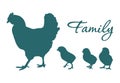 Hen and chicks family walk. Vector image.