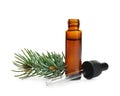 Little open bottle with essential oil, dropper and pine branch