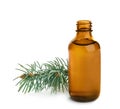 Little open bottle with essential oil and pine branch