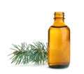 Little open bottle with essential oil and pine branch