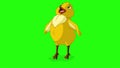 Little orange chicken tweets chroma key