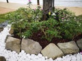 A little outdoor garden with stoney decoration for interior design.