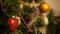 The little owl sitting on a Christmas tree near Christmas toys Royalty Free Stock Photo