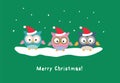 Little owls in Santa Claus hats sitting on the snow on green background. Merry Christmas card design