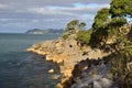 Little pancakes rocks, Waipu cove, New Zealand Royalty Free Stock Photo