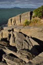 Little pancakes rocks, Waipu cove, New Zealand Royalty Free Stock Photo