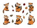 Little panda, red panda, cat bear. Character cute beast. Funny animals. Autumn decoration. illustration isolated on white