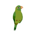 Little Parrot Bird, Cute Green Budgie Home Pet Vector Illustration Royalty Free Stock Photo