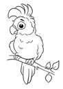 Little parrot sitting tree branch illustration character coloring Royalty Free Stock Photo