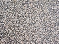 Little pebbles texture of floor.