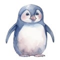 Little penguin cartoon character watercolour.