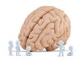 Little people around giant brain. Isolated. Contains clipping path