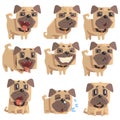 Little Pet Pug Dog Puppy With Collar Set Of Emoji Facial Expressions And Activities Cartoon Illustrations Royalty Free Stock Photo