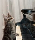 Little Pianist