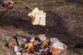 Little picnic with family. Bread are fried over a small fire. Grilling bread over a campfire in the forest. Holiday and spring