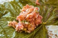 Little piece of meat on a vine leaf - close up shot