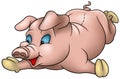 Little Pig Royalty Free Stock Photo