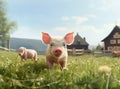 little pig on green meadow Royalty Free Stock Photo