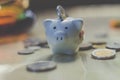 Piggy Bank, Savings, Currency. Coin. a little pig