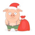 Little pig in a red Santa`s hat.