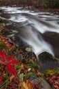 Little Pigeon River at the end of Autumn in Greenbrier in the Great Smoky Mountains