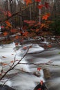 Little Pigeon River at the end of Autumn in Greenbrier in the Great Smoky Mountains